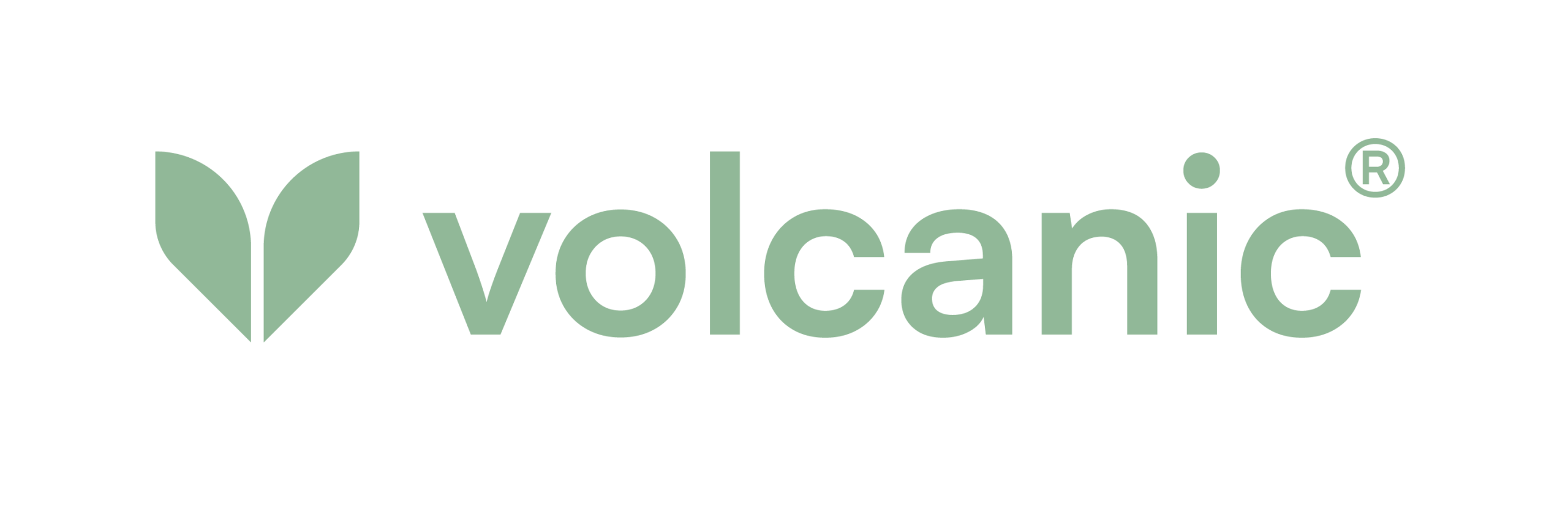 AF_LOGO_VOLCANIC_HORIZONTAL (1)